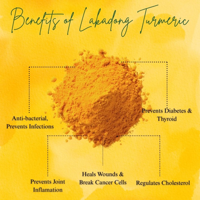 Lakadong Turmeric