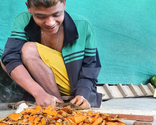 Lakadong Turmeric