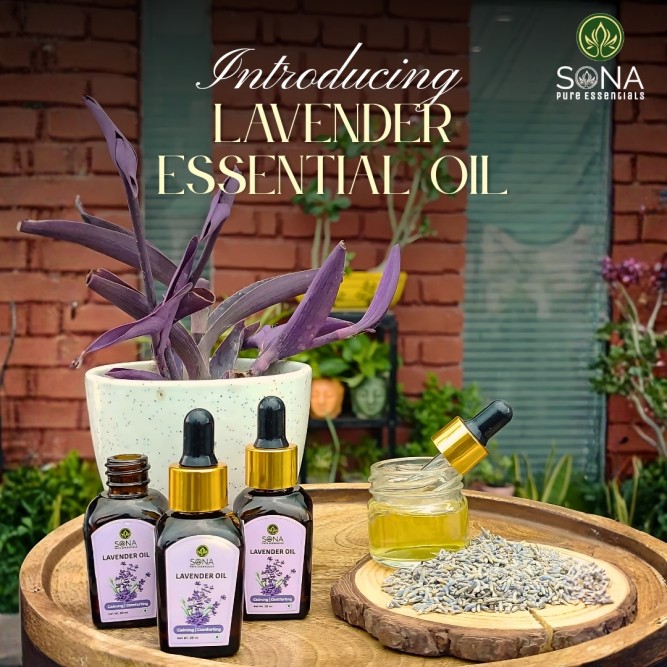 Lavender Oil