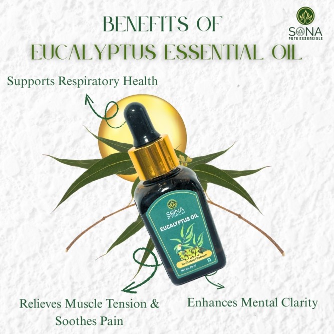 Eucalyptus Globulous Oil