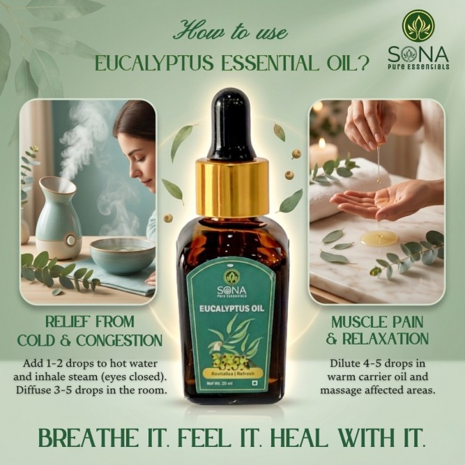 Eucalyptus Globulous Oil